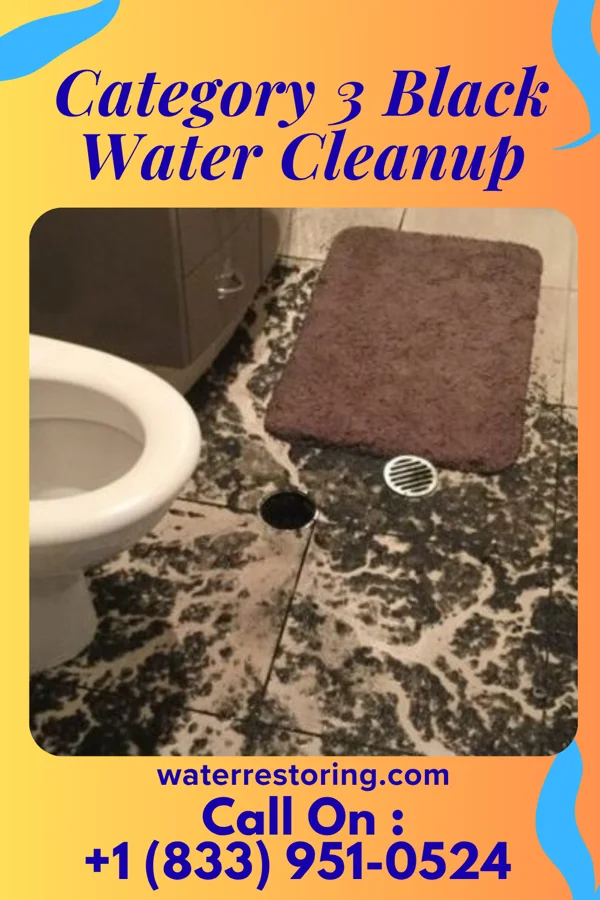 Category 3 Black Water Cleanup in Reynolds, NE