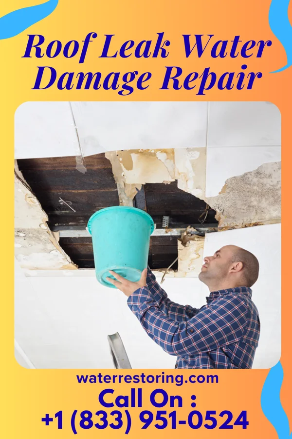 Roof Leak Water Damage Repair in Reynolds, NE